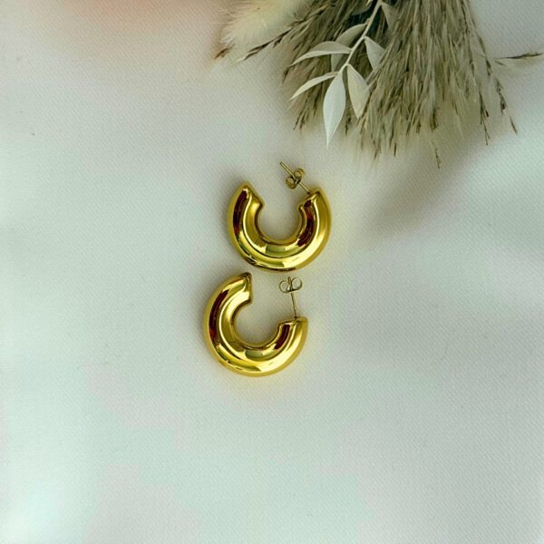 Hoop Earrings