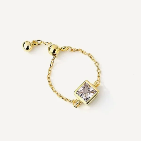 Adjustable Chain Ring